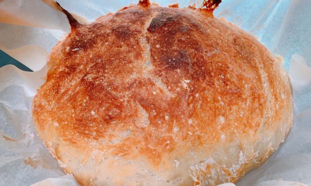 Artisan Crusty Bread – No Knead Method